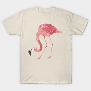 Flamingo T-Shirt